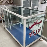 آکواریوم ماهی قزل الا|ماهی|شیراز, گویم|دیوار