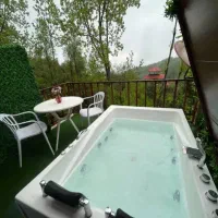 اجاره کلبه سویسی وان جکوزی جنگلی vip