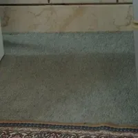 موکت پالاز
