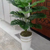 گل انجیری|گل مصنوعی|تاکستان, |دیوار