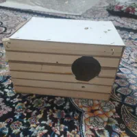 لونه پرنده عروس هلندی