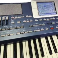 pa800 سری 603 رام256|پیانو، کیبورد، آکاردئون|قیدار, |دیوار