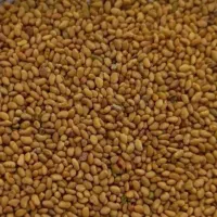 بذر یونجه برای کشت ، ضمانتی