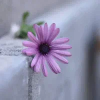 استخدام پرستار خانم سالمند