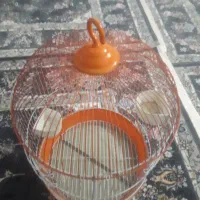 فروش قفس پرنده