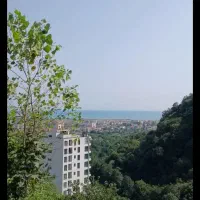تور شمالگردی
