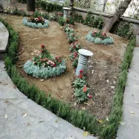 خدمات باغبانی باغچه کاری کاشت گل وگیاه باغبان سیار|خدمات باغبانی و درختکاری|تهران, قیطریه|دیوار
