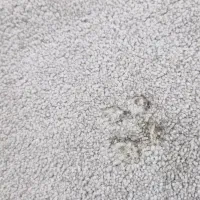 پالاز موکت ۴*۳|موکت|بندر ماهشهر, |دیوار