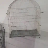 قفس پرنده|لوازم جانبی حیوانات|ارومیه, |دیوار