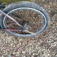 دوچرخه فروشی|دوچرخه، اسکیت، اسکوتر|سلمانشهر, |دیوار