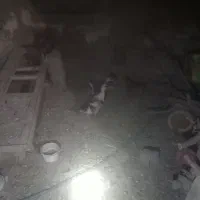 اردک