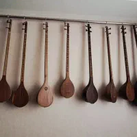 مجموعه شخصی سه تار