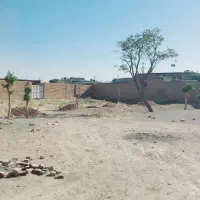 باغ فروشی در روستای منظر محدوده امامت
