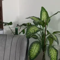 وسایل خانه|تابلو، نقاشی، عکس|گلبهار, شهر جدید گلبهار|دیوار