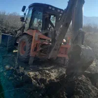 خریدوفروش درختان ودرآوردن ریشه های گردو ودرشت