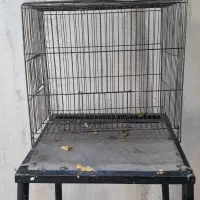 قفس پرنده