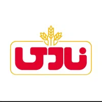 فروشنده و بازاریاب حضوری شرکت نادی