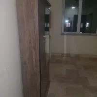 جاکفشی ایستاده