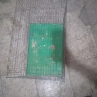 قفس فروش فوری