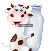 شیر تازه گاو پرچرب تازه