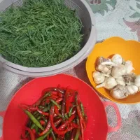 خیارشور بومی شیراز|خوردنی و آشامیدنی|شاهین‌شهر, کوی مهدیه|دیوار