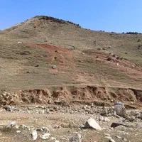 گواهینامه گم کردم