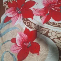 پتو تک نفره گل برجسته بدون پارگی وسوختگی هرکدام۴۰۰