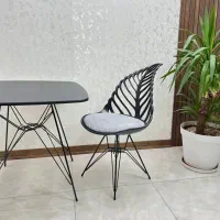 صندلی برگ|میز و صندلی غذاخوری|آزادشهر, |دیوار