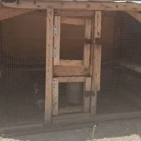قفس|لوازم جانبی حیوانات|بندر گناوه, |دیوار