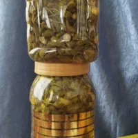 فروش ترشی گلک موسیر و غنچه گلک کاملا بهداشتی|خوردنی و آشامیدنی|شیراز, شهرک فرهنگیان|دیوار