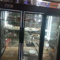 یخچال و ویترین ودخل