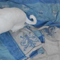 سگ پیدا شده