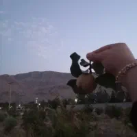 فروش-زمین-باغ