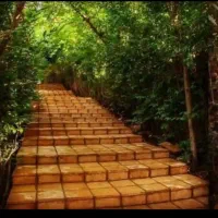 دعوت به همکاری مجموعه گردشگری شادمهر بوژان نیشابور|استخدام اداری و مدیریت|سبزوار, قصبه اب یمین|دیوار