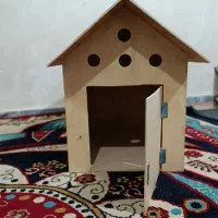 لونه خانه سگ و گربه