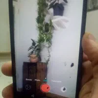 هوایی پی 8 لایت|موبایل|تربتحیدریه, شهرک ولیعصر|دیوار