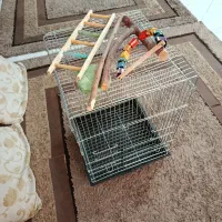 قفس ۱۰۳۳ با وسایل