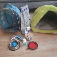 شیتزوی ۵ ماهه بازیگوش|سگ|تهران, شهرک کوهسار|دیوار