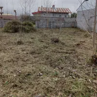 علف زنی زمینها با دستگاه علفزن|خدمات باغبانی و درختکاری|لنگرود, |دیوار