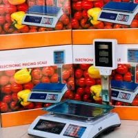 ترازو دیجیتال (تعمیرات تخصصی و سریع)|فروشگاه و مغازه|اهواز, زندوکیلی|دیوار