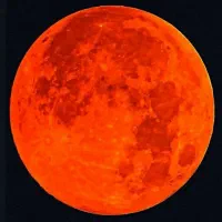 اجاره خودروی پربیت