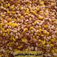 زعفران ۱۰۰٪ اصل از خود کشاورز|عمده‌فروشی|گناباد, |دیوار