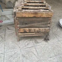 قفس چوبی