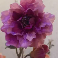 اصلاح کار  مجرب  در آرایشگاه زنانه نیازمندیم.