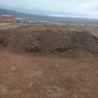 پهین گوسفند|لوازم جانبی حیوانات|حاجیلار, |دیوار