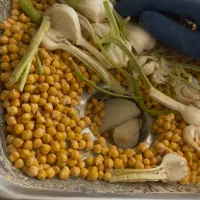 مایه خمیر فلافل آبادان فست فود