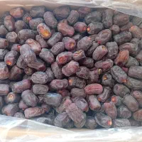 نیازمند خرما جمع کن