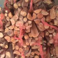چوب|خدمات باغبانی و درختکاری|دزفول, |دیوار
