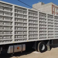 دیما ۱۹ تن تک مرغی هم به صورت شاسی|خودرو سنگین|فشاپویه, |دیوار