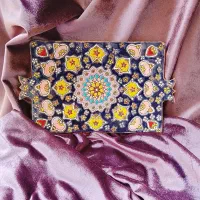 دیس میناکاری